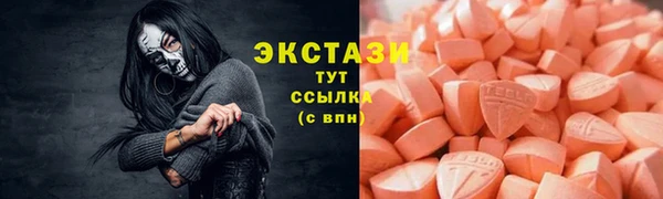 гидра Ельня