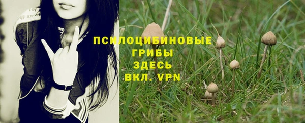 mdpv Дмитровск