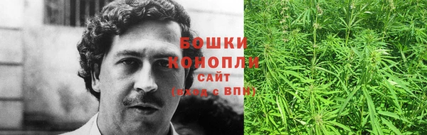 гидра Ельня
