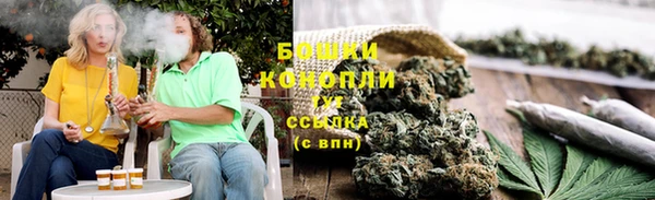 гидра Ельня