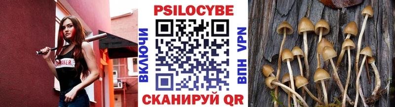 нарко площадка клад  Дятьково  Галлюциногенные грибы Psilocybine cubensis 