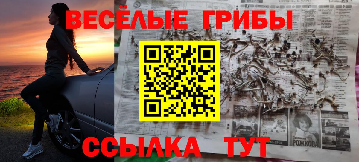 Дятьково  Галлюциногенные грибы Psilocybine cubensis  Псилоцибиновые грибы ЛСД  Вход с VPN 