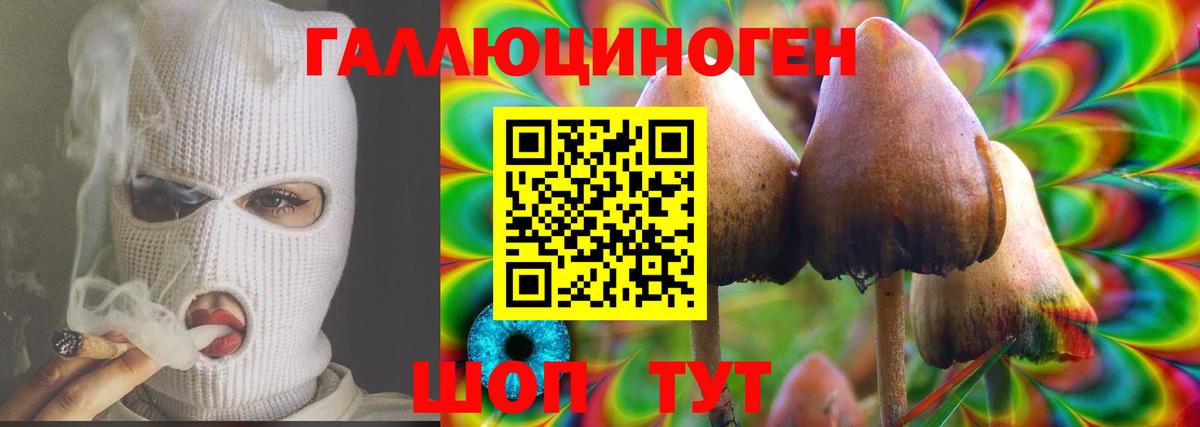 Псилоцибиновые грибы GOLDEN TEACHER  Дятьково 