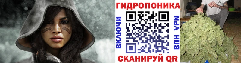 где купить наркотик  Дятьково  Канабис гибрид 