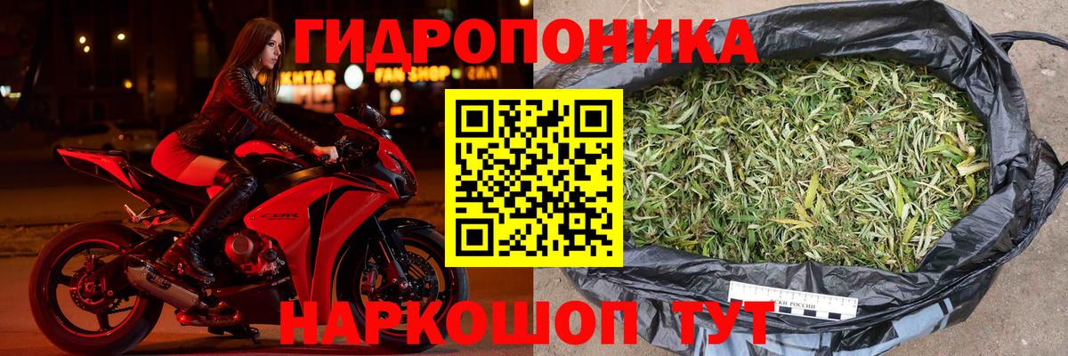 Бошки Шишки Ganja  Конопля Bruce Banner  Шишки марихуана планчик  Дятьково 